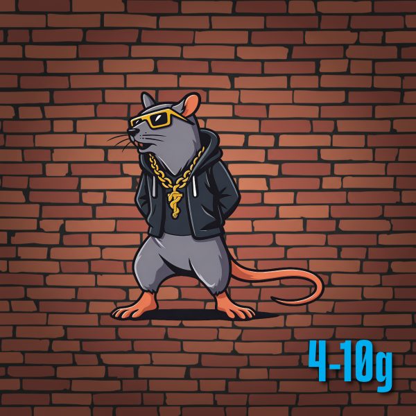 Rat — Pinky | HOOD RATZ