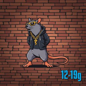Frozen Rats - Fuzzy