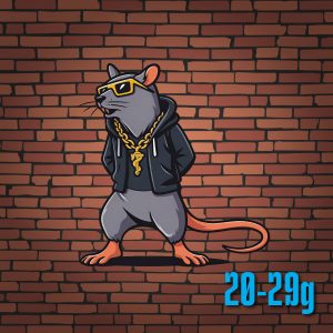 Frozen Rats - Pup