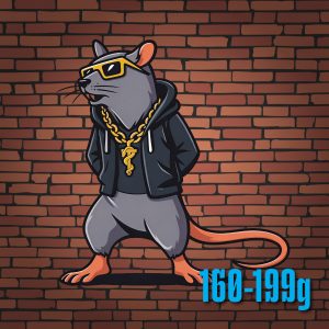 Frozen Rats - Large