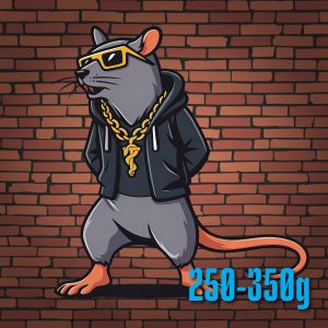 Frozen Rats - XXL