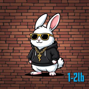 Rabbit - Small
