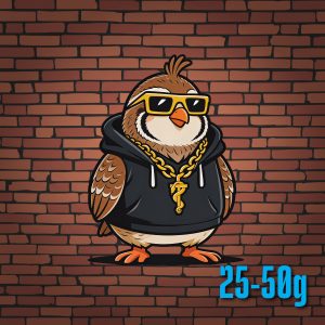 Quail - Small