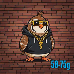 Quail - Medium