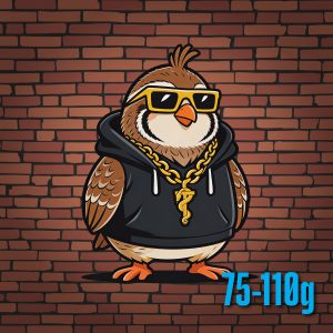Quail - Large