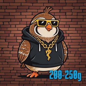 Quail - XXXL